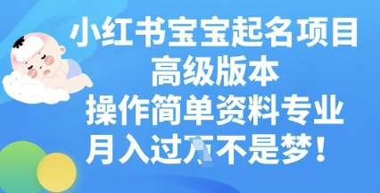 小红书宝宝起名项目高级版本，操作简单，资料专业，月入过W-亮剑学堂